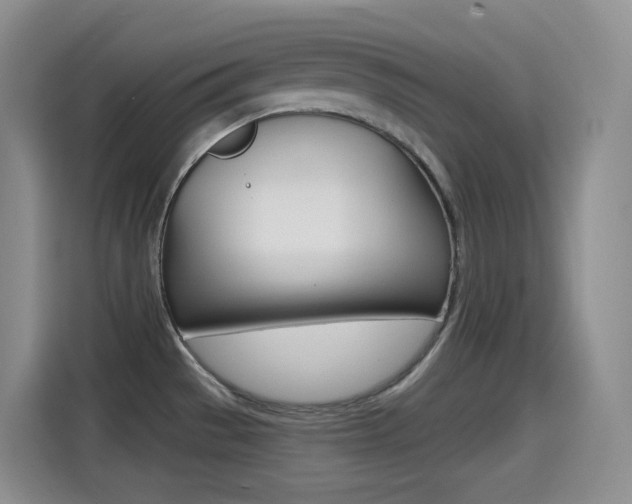 X0000114601529200910191044
