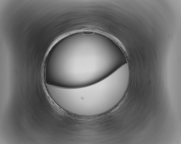 X0000114601530200910191044