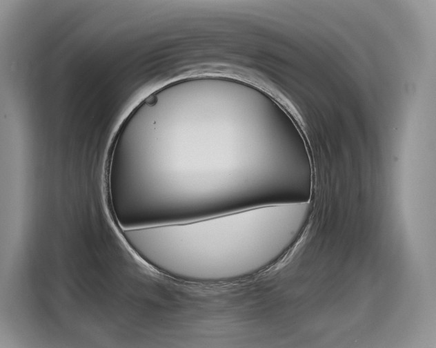 X0000114601533200910191044