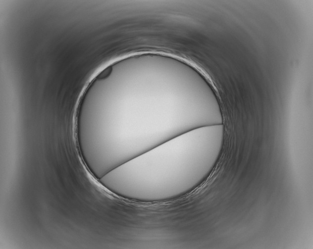 X0000114601535200910191044