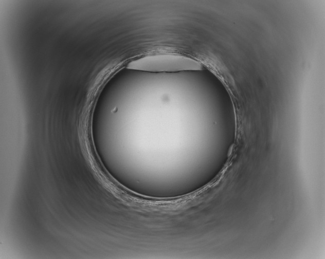 X0000114600001200910191628