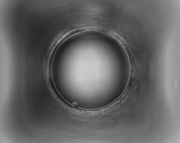 X0000114600002200910191628