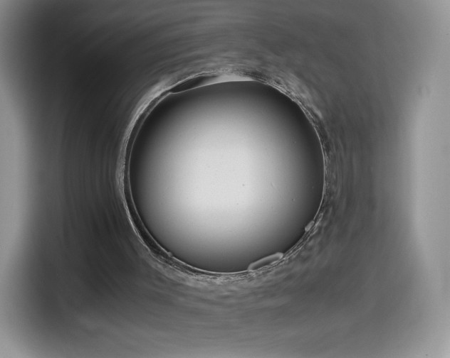 X0000114600003200910191628