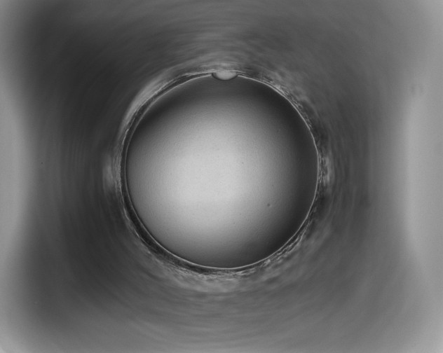 X0000114600004200910191628