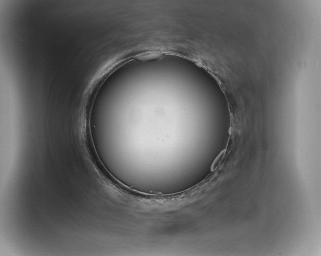 X0000114600005200910191628