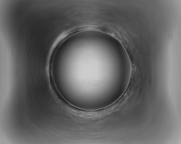 X0000114600006200910191628