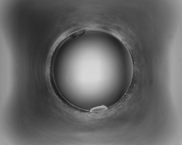 X0000114600007200910191628