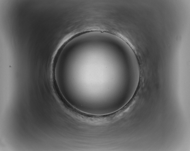 X0000114600008200910191627