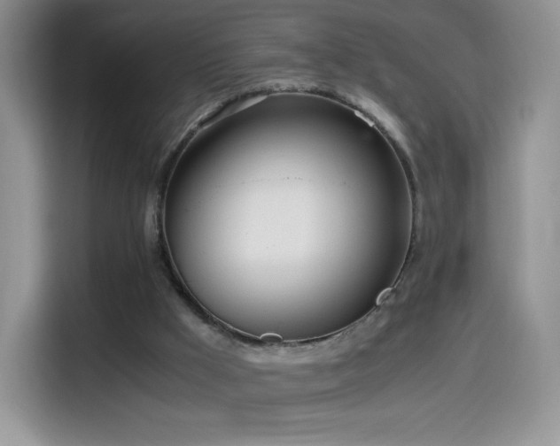 X0000114600009200910191627