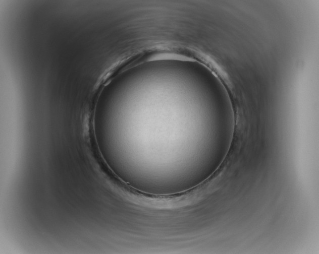 X0000114600010200910191627