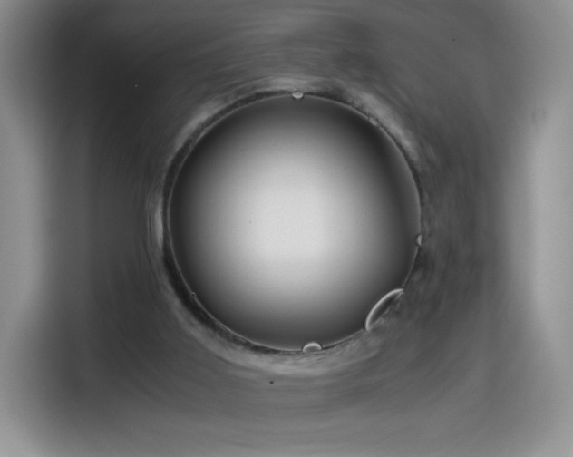 X0000114600011200910191627