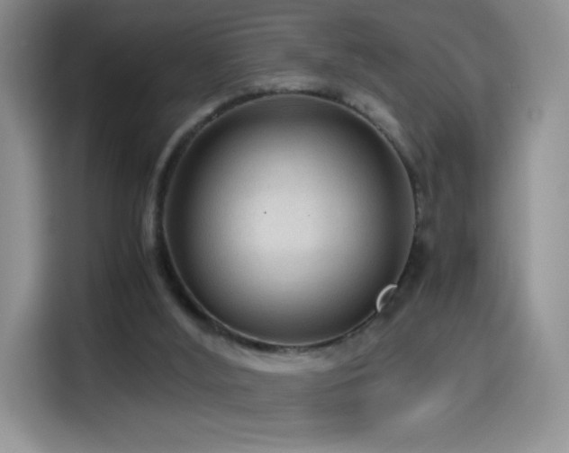 X0000114600012200910191627