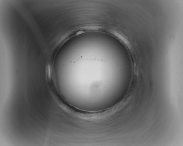 X0000114600013200910191627