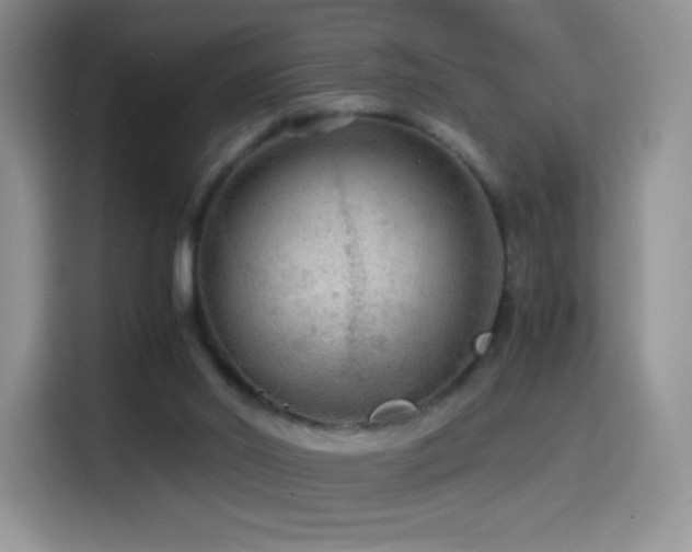 X0000114600014200910191627