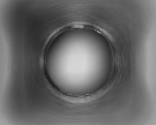 X0000114600015200910191627