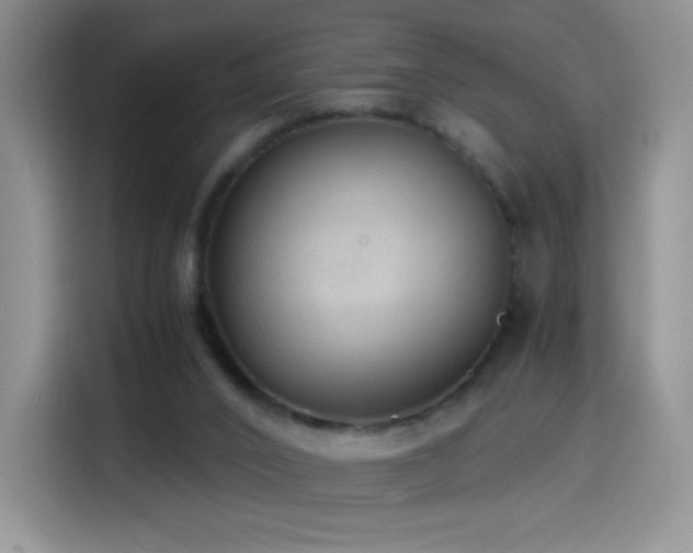 X0000114600016200910191627