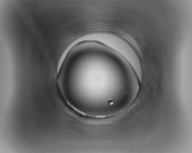 X0000114600017200910191627