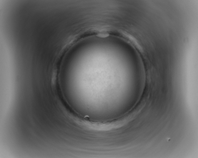 X0000114600018200910191627