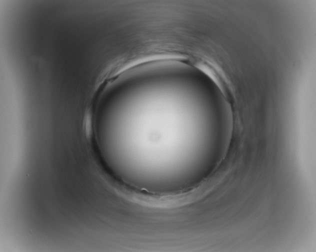 X0000114600019200910191627