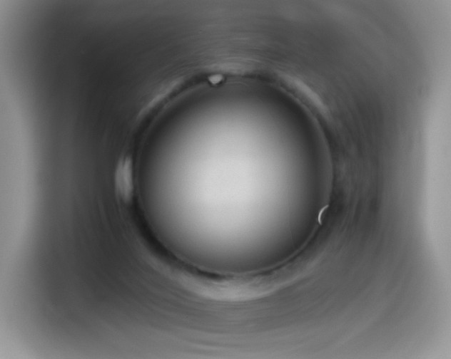 X0000114600020200910191627