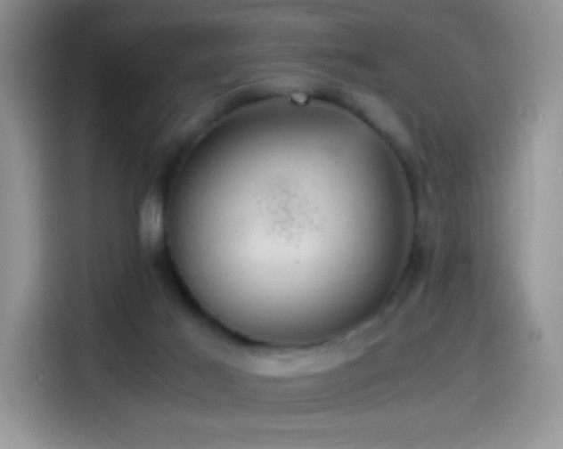 X0000114600021200910191627