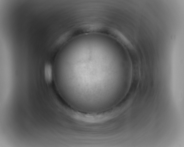 X0000114600022200910191627