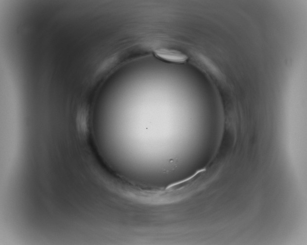 X0000114600023200910191627