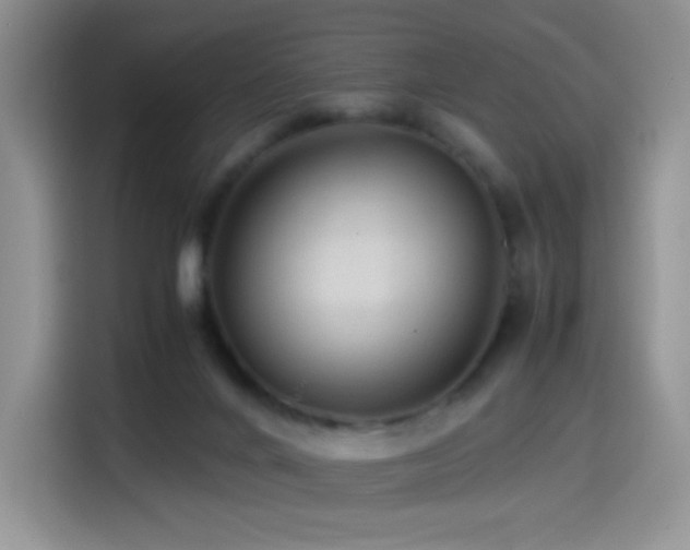 X0000114600024200910191627