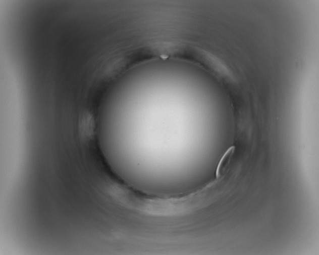 X0000114600025200910191627