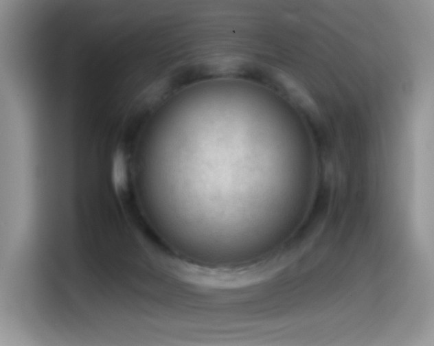 X0000114600026200910191627