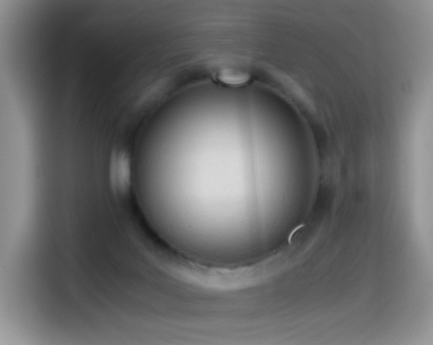 X0000114600027200910191627