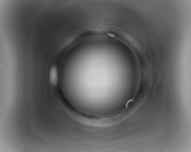 X0000114600028200910191627