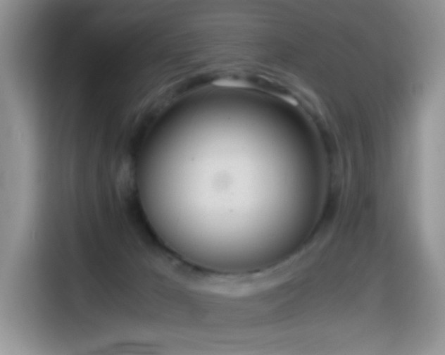 X0000114600029200910191627