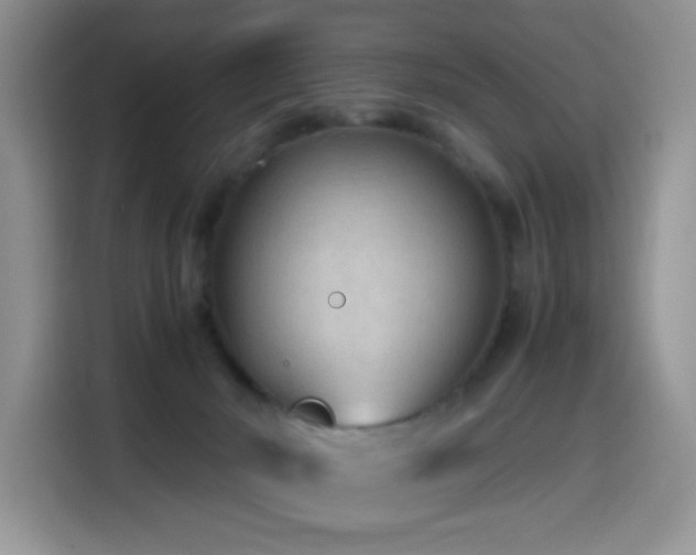 X0000114600030200910191627