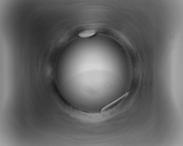 X0000114600031200910191627