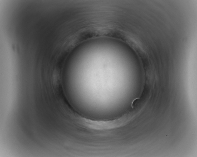 X0000114600034200910191627