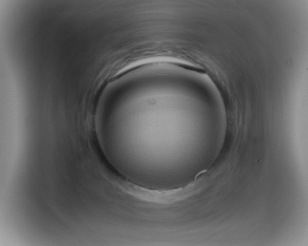 X0000114600035200910191627