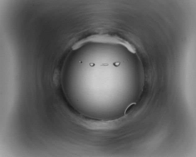 X0000114600036200910191627