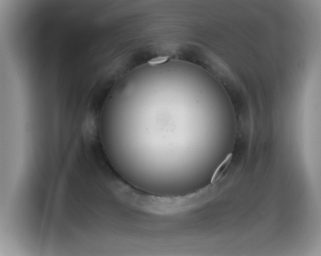 X0000114600037200910191627