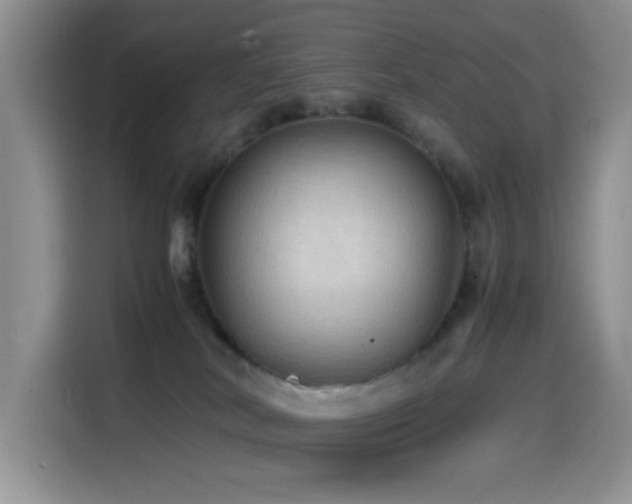 X0000114600038200910191627