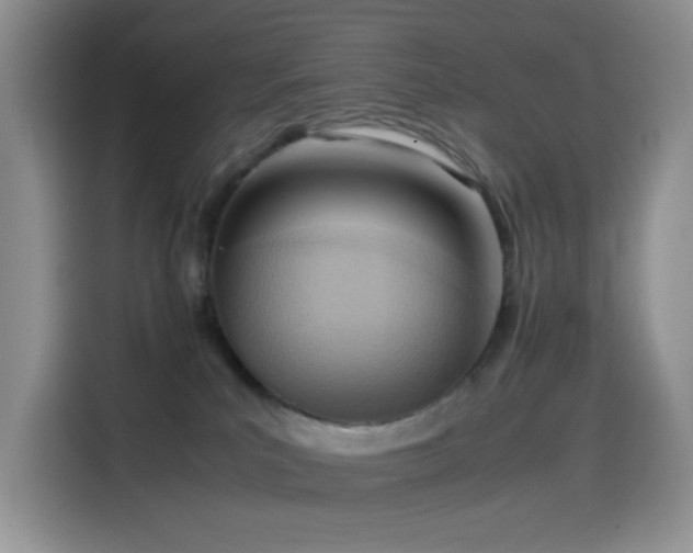 X0000114600039200910191627