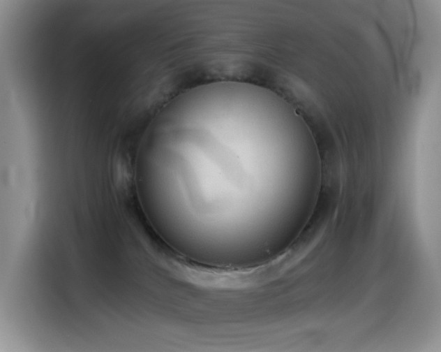 X0000114600040200910191627