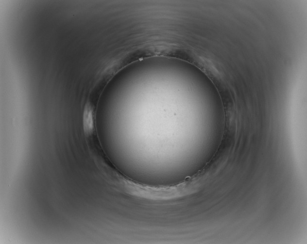 X0000114600042200910191627