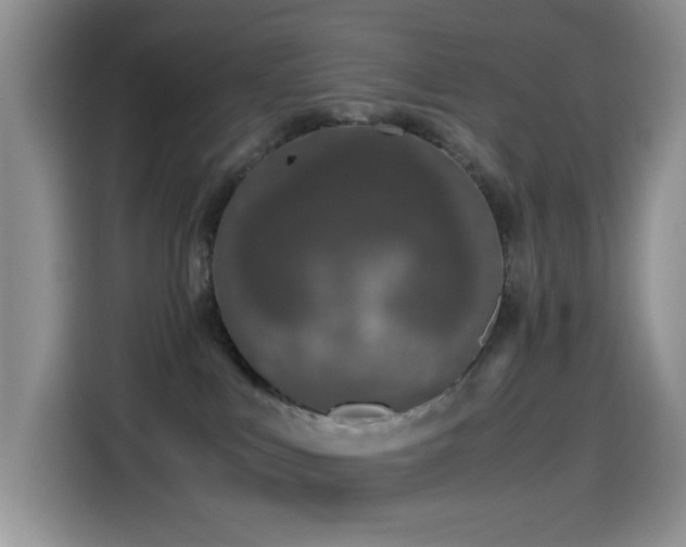 X0000114600043200910191627