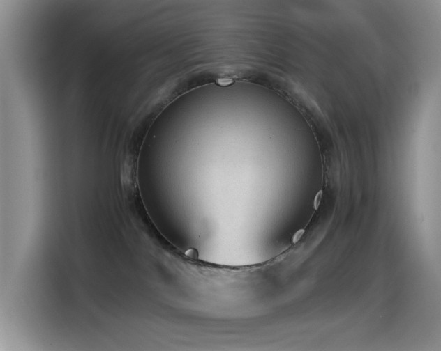 X0000114600044200910191627