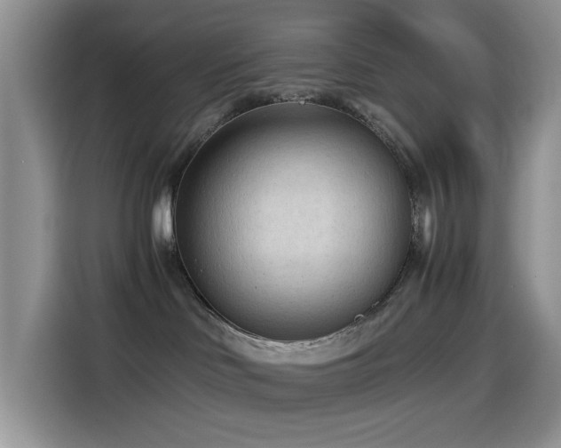 X0000114600046200910191627