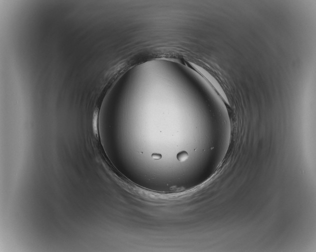 X0000114600047200910191627