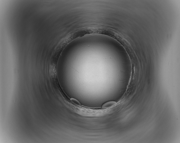 X0000114600048200910191627