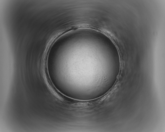 X0000114600049200910191626