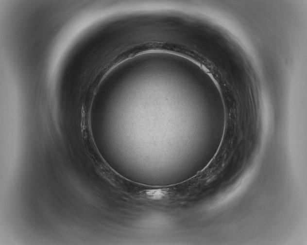 X0000114600050200910191626